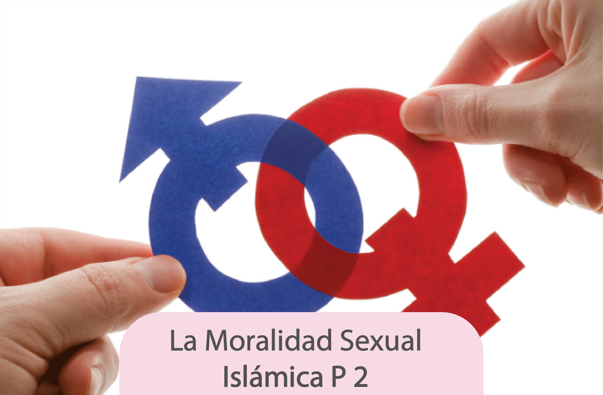 islam, sexualidad, cristianismo