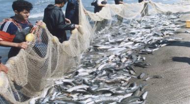 Mandatos Sobre La Pesca