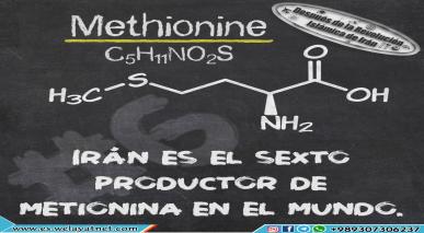 Irán es el sexto productor de metionina en el mundo
