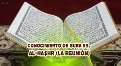Conocimiento de Sura 59. Al-Hashr (La Reunión)
